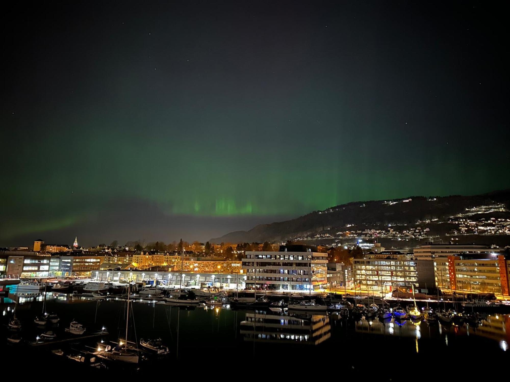 Nydelige Damsgardsveien, 3-Roms Moderne Leilighet! Bergen Eksteriør billede